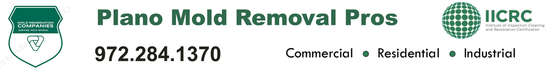 Plano Mold Removal Pros