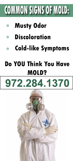 Plano Mold Remediation Contractor